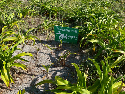 1753452972064