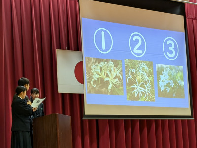 PXL_20251101_024411161