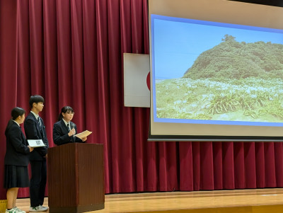 PXL_20251101_023627385