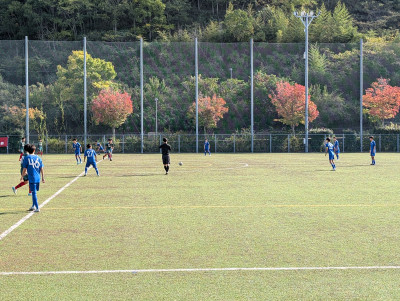 PXL_20251110_010001377