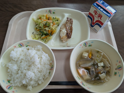 PXL_20251110_025317997