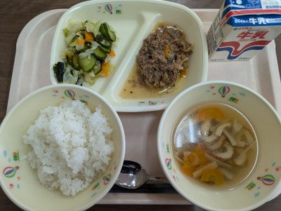 PXL_20251111_032300017.MP