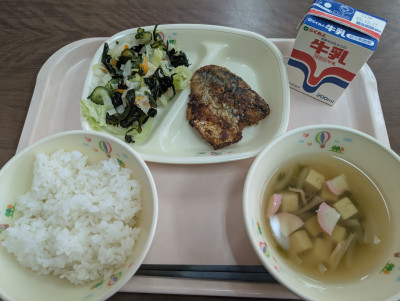 PXL_20251208_024400103