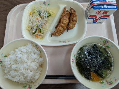 PXL_20260227_022930808